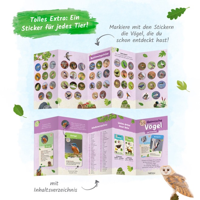55 Lernkarten "Heimische Vögel"