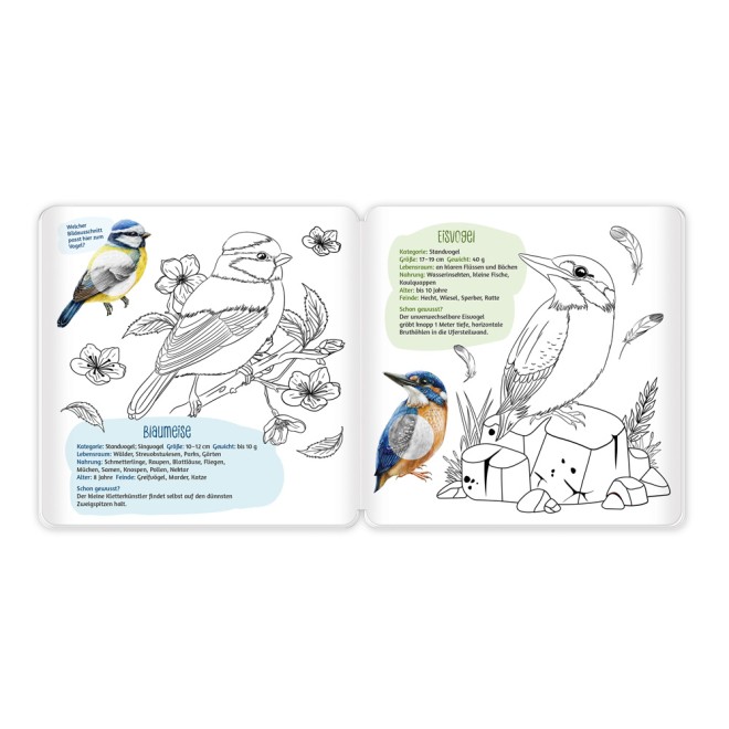Stickermalbuch Unsere Vogelwelt