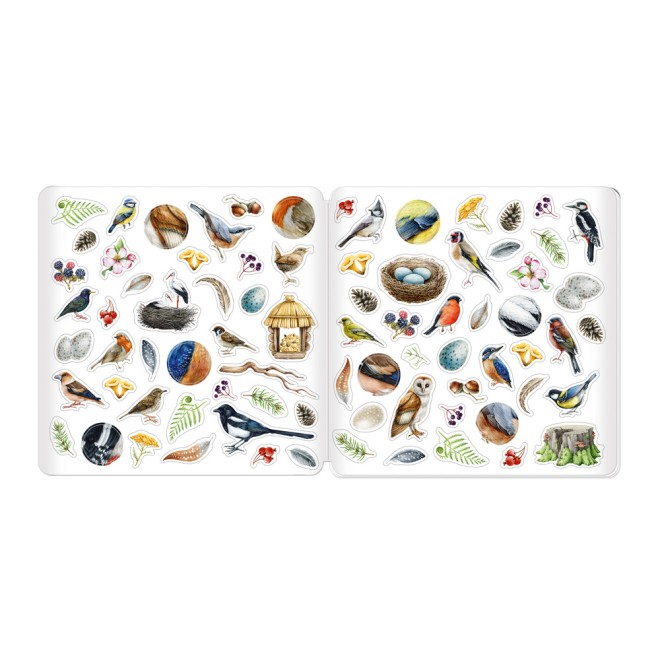 Stickermalbuch Unsere Vogelwelt