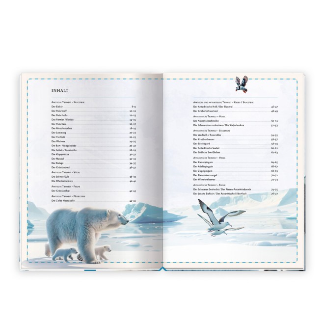 Kinderbuch Das großartige Buch der Polartiere