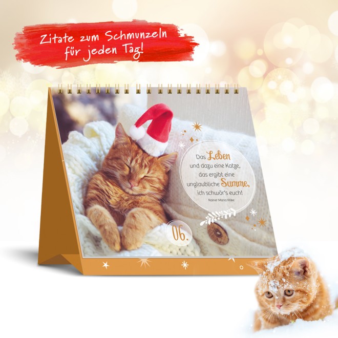 Samtpfötchen Adventskalender