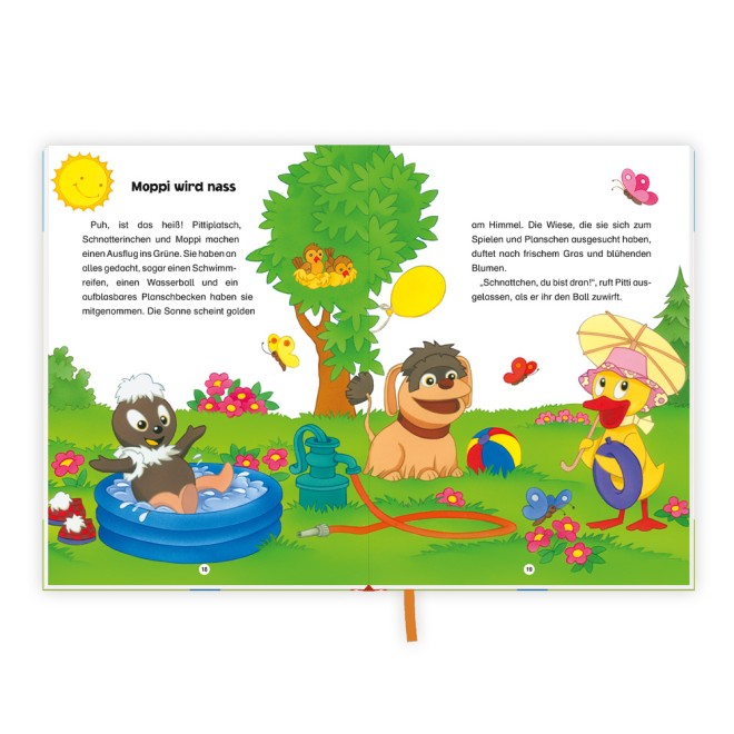 UNSER SANDMÄNNCHEN Das größte Pittiplatsch-Buch