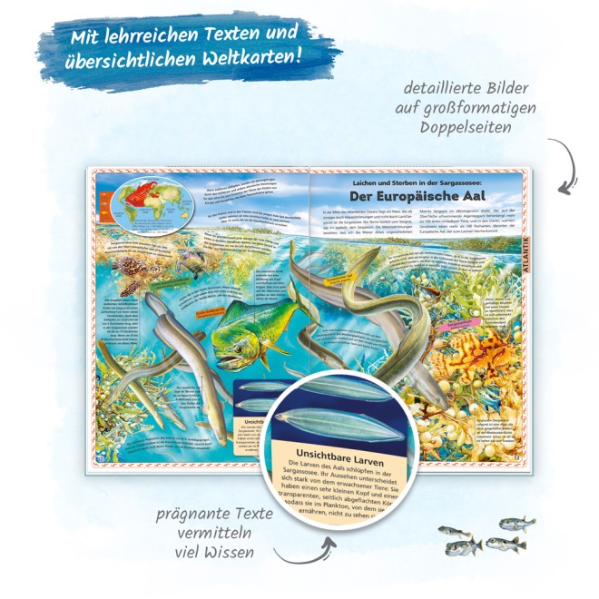 Der große Atlas der Ozeane