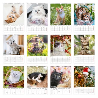 Classickalender Liebste Katzen 2027