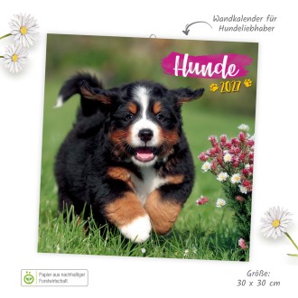 Broschürenkalender Hunde 2027