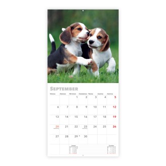 Broschürenkalender Hunde 2027