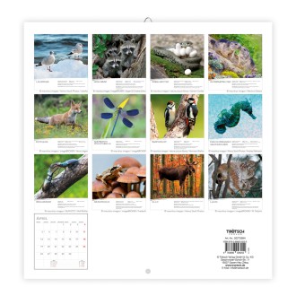 Broschürenkalender Heimische Tierwelt 2027