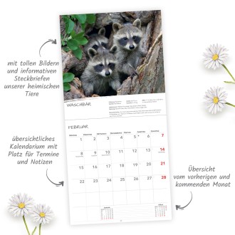 Broschürenkalender Heimische Tierwelt 2027