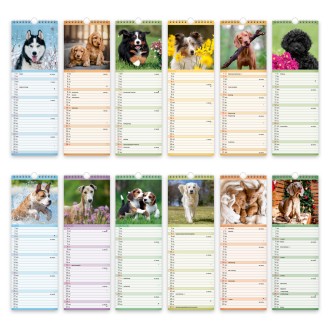 Streifenkalender Hunde 2027 Notizkalender