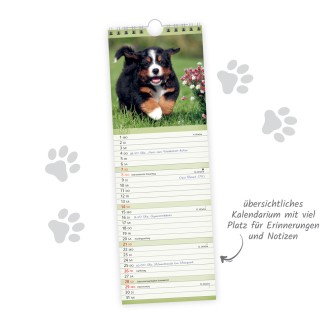 Streifenkalender Hunde 2027 Notizkalender