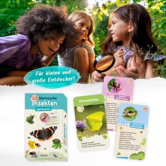 55 Lernkarten "Heimische Insekten"