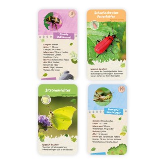 55 Lernkarten "Heimische Insekten"