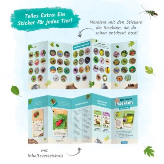 55 Lernkarten "Heimische Insekten"