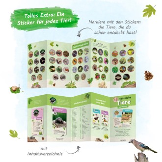 55 Lernkarten "Heimische Tiere"