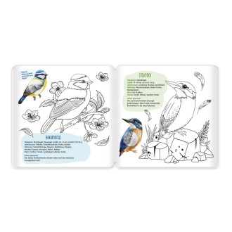 Stickermalbuch Unsere Vogelwelt