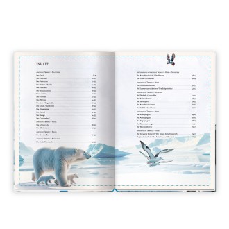 Kinderbuch Das großartige Buch der Polartiere