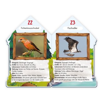 Wissensbuch "101 Heimische Vögel"