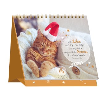 Samtpfötchen Adventskalender