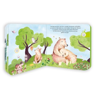 Soundbuch "So klingt es im Wald"