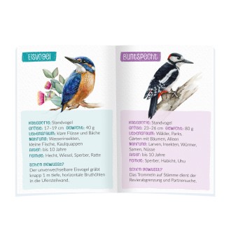 Tasse im Vogelhäuschen "Unsere Vogelwelt"