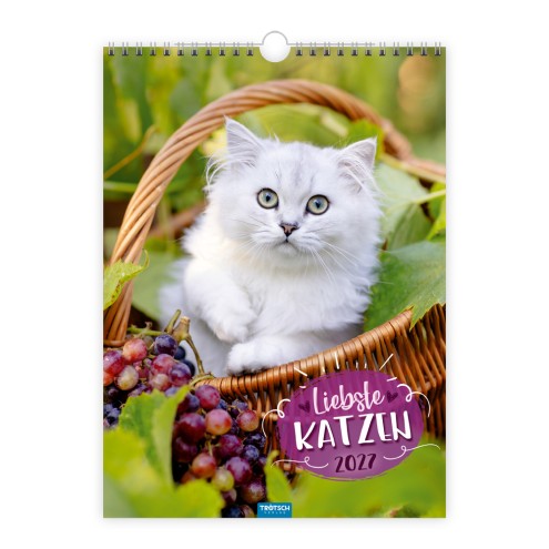 Classickalender Liebste Katzen 2027