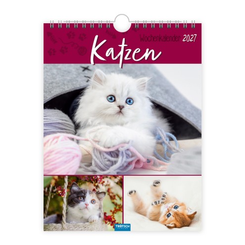 Wochenkalender zum Hängen Katzen 2027